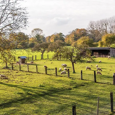 Cheval Doré Dans La Ferme Hébergement de vacances *