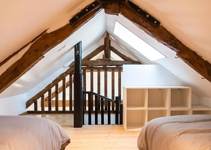 Cheval Dore Dans La Ferme Tatil Evi *