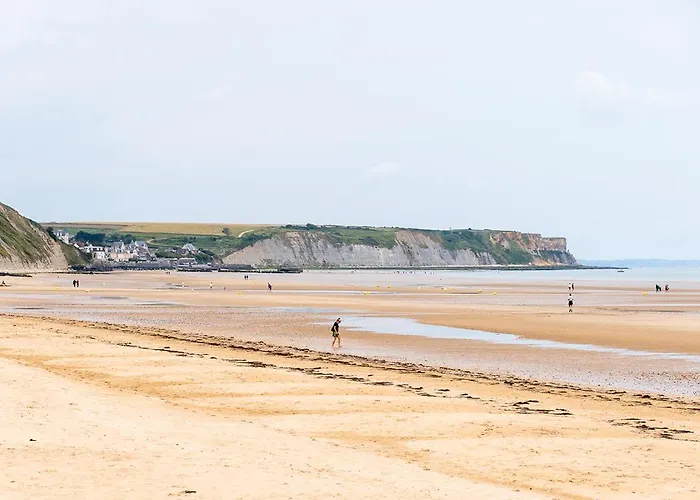 Cheval Dore Dans La Ferme Tatil Evi *